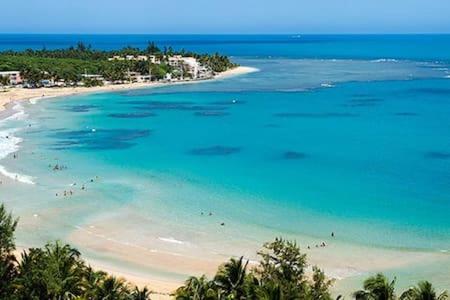Apartamento Seaside Serenity - Cozy Studio Luquillo Exterior foto